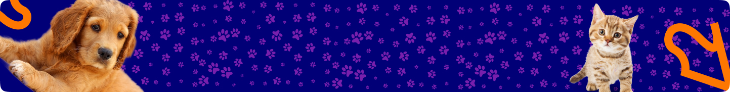 pet-registration-banner